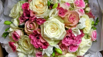 Роза. Rose (96 обоев) » Смотри Красивые Обои, Wallpapers, Красивые обои на рабочий  стол