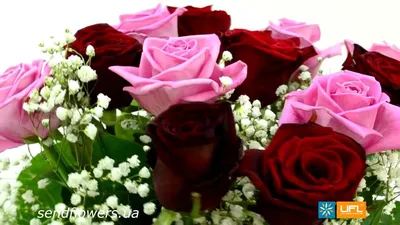 Подарите любимым женщинам красивые цветы в день 8 Марта!