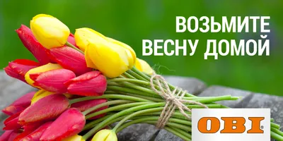 Красивые и нежные поздравления с 8 Марта | 7Дней.ru