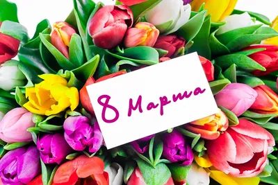 С 8 Марта поздравления короткие для всех - открытки, картинки и смс видео -  Events | Сегодня