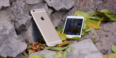 iPhone 14 Vs iPhone 14 Plus: Сравнение Смартфонов