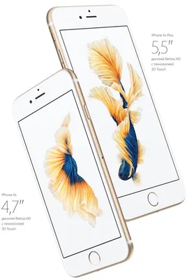 Обзор iPhone (айфон) 6s и iPhone (айфон) 6s Plus | Signal-crimea.ru