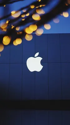 iphone 6 раскладушка / смешные картинки и другие приколы: комиксы, гиф  анимация, видео, лучший интеллектуальный юмор.
