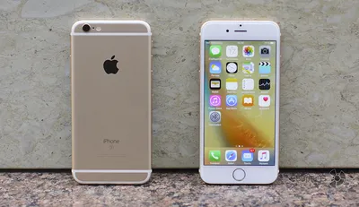 Первые противоударные чехлы для iPhone 6 показала компания Griffin