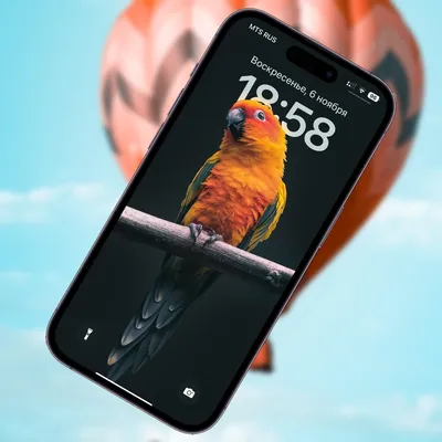 Крутые чехлы на айфон iphone 6,7,8: 55 грн. - Чехлы Львов на Olx
