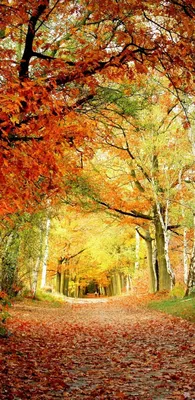 Красивые заставки на телефон самсунг крутые - фото и картинки  abrakadabra.fun