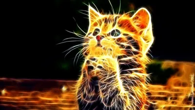 Скачать обои \"Машины\" на телефон в высоком качестве, вертикальные картинки  \"Машины\" бесплатно