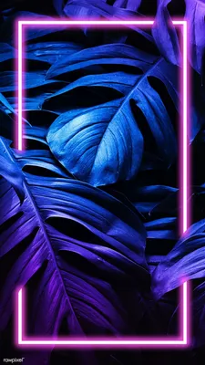 Какой смартфон выбрать ребёнку - рейтинг лучших моделей 2023 | Статьи |  Телефоны | Фотосклад Эксперт