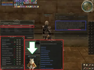 Интерфейс — База знаний Lineage 2