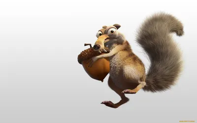 Обои Ледниковый период Мультфильмы Ice Age, обои для рабочего стола,  фотографии ледниковый, период, мультфильмы, ice, age, орех, scrat, белка  Обои для рабочего стола, скачать обои картинки заставки на рабочий стол.