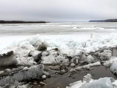 Ледоход на реке Оби достиг Колпашевского района. Фоторепортаж