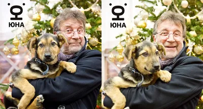 Фотография Леонида Ярмольника в высоком качестве на рабочий стол