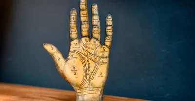 Линия жизни на руке — значение и расшифровка вашей судьбы! | mimic_news |  Дзен