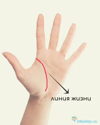 https://www.nur.kz/esoterics/interesting/1125932-liniya-braka/