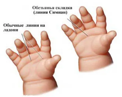 Баловни судьбы: 3 буквы на ладони, которые встречаются только у особенных  людей :: Инфониак