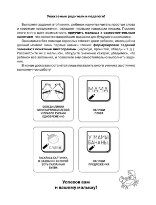 РЕФЛЕКТОРНЫЕ ЗОНЫ