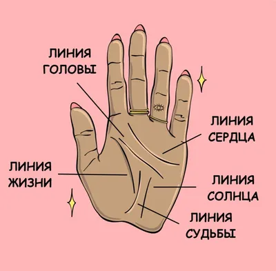 Хиромантия для начинающих: что означают линии на запястье - Оракул -  info.sibnet.ru