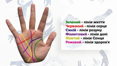 Хиромантия и хирология - «Всё в наших руках! Линии на ладонях – не  приговор! Неблагоприятный прогноз можно изменить к лучшему!» | отзывы