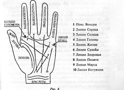 Что линия сердца на ладони может рассказать о вашей личной жизни? |  Безумная луна | Deviant Moon | Дзен