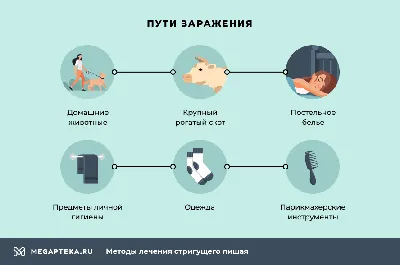 Разновидности лишая