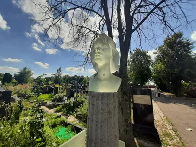 В хорошем качестве фото Любови Полищук: всегда цени красоту в высокой резкости 