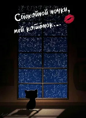 Пин от пользователя 3278713247 на доске notte | Цитаты о любви для него,  Ночь, Факты о любви