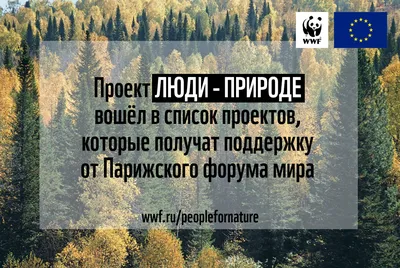 В ПРИРОДЕ ИЗВЕСТНО, НТО САМЕЦ ВСЕГДА БОЛЕЕ КРАСИВЕЕ САМКИ. ПОТОМ ПРИШЛИ ЛЮДИ  И ПРИДУМАЛИ МАКИЯЖ. / картинки с надписями :: Природа (красивые фото природы:  моря, озера, леса) :: вся правда :: вся