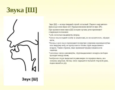 Звук Ш | ВКонтакте | Обучение чтению письму, Детские развлечения,  Логопедические игры