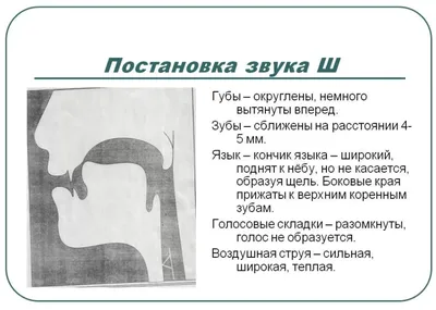 Лабиринты для автоматизации звуков [Ш] - [З] - [Л] - [С] - [Р] . Блог  Лого-Эксперт