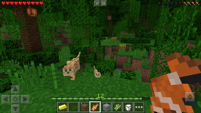 Minecraft Wallpaper Explore more Java Programming, Jens Bergensten,  Minecraft, Mojang Studios, Swedish … | Minecraft wallpaper, Minecraft  pictures, Minecraft images
