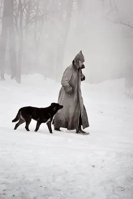 Максим Суханов: звезда сцены и экрана в одном фото