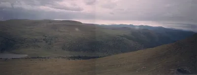 Фото Марины Васильевой в ярких цветах