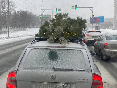 Новый_год, #Авто, #Елки, #аватары, #картинки, #фото, #авы,  https://avatarko.ru/kartinka/24193 | Christmas magic, Merry little  christmas, Vintage christmas