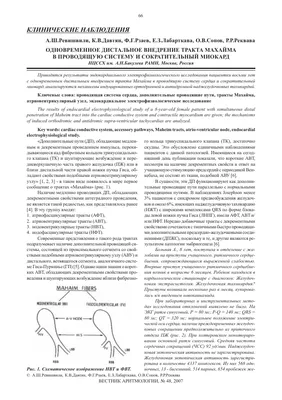 Как вести медицинский инстаграм и не отпугнуть аудиторию, что можно и что  нельзя делать бизнесу
