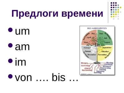 Книга на немецком в дар (Москва). Дарудар
