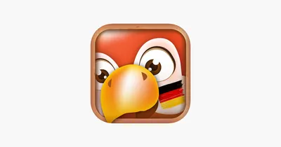 Вопросы, просьбы, письма к Start Deutsch. Материалы для подготовки к  экзамену на А1 - Skype Deutsch