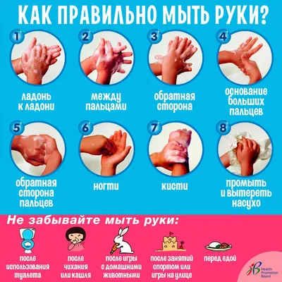 две руки с множеством вирусов и бактерий на них, картинка микробы на руках,  микробы, здоровье фон картинки и Фото для бесплатной загрузки
