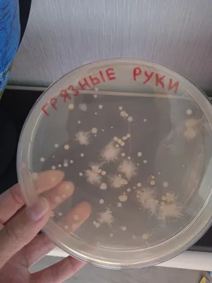 Приложение Germs scanner - Приучите детей мыть руки