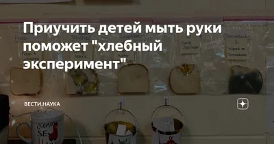 Издательство Робинс Самые первые окошки. Про микробы