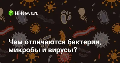 Не спешите мыть руки, пока не прочитаете это! | Пространство уюта | Дзен