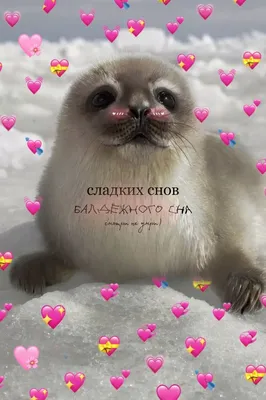 Картинки \"Спокойной ночи!\" для любимой (185 шт.)