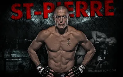 Чехол с логотипом MMA Fight для iPhone 11 силиконовый купить недорого в  интернет-магазине