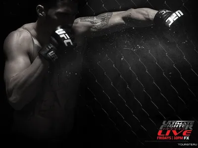 Pereloma mma