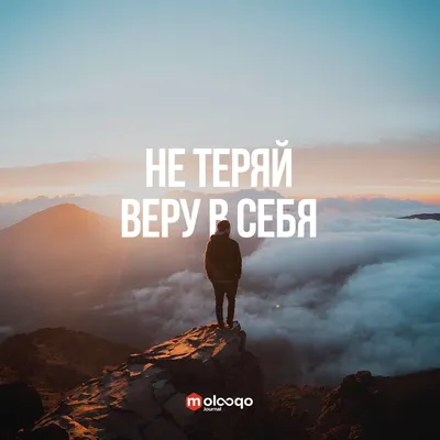 Страница 2 — Бесплатные обои на телефон | Скачайте заставку на телефон |  Canva