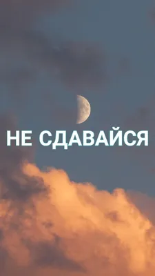 МОТИВАЦИОННЫЕ ОБОИ НА ТЕЛЕФОН НЕ СДАВАЙСЯ | Мотивирующие цитаты,  Мотивационные слова, Мотивационные постеры