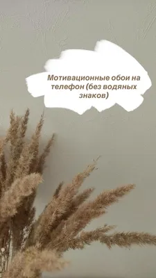 Скачать обои \"Мотивация\" на телефон в высоком качестве, вертикальные  картинки \"Мотивация\" бесплатно
