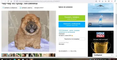 Как не нарушить авторские права и не получить штраф 5 миллионов рублей /  Хабр