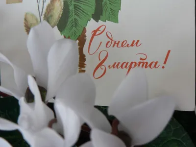 поздравления с днем рождения мультяшные - Pesquisa Google | Винтаж  открытки, Открытки, Винтажные иллюстрации