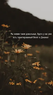 Мусульманские картинки про любовь и отношения - самые красивые