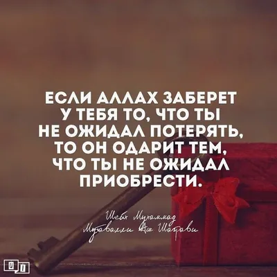 Картинки мусульманские (49 фото) » Юмор, позитив и много смешных картинок